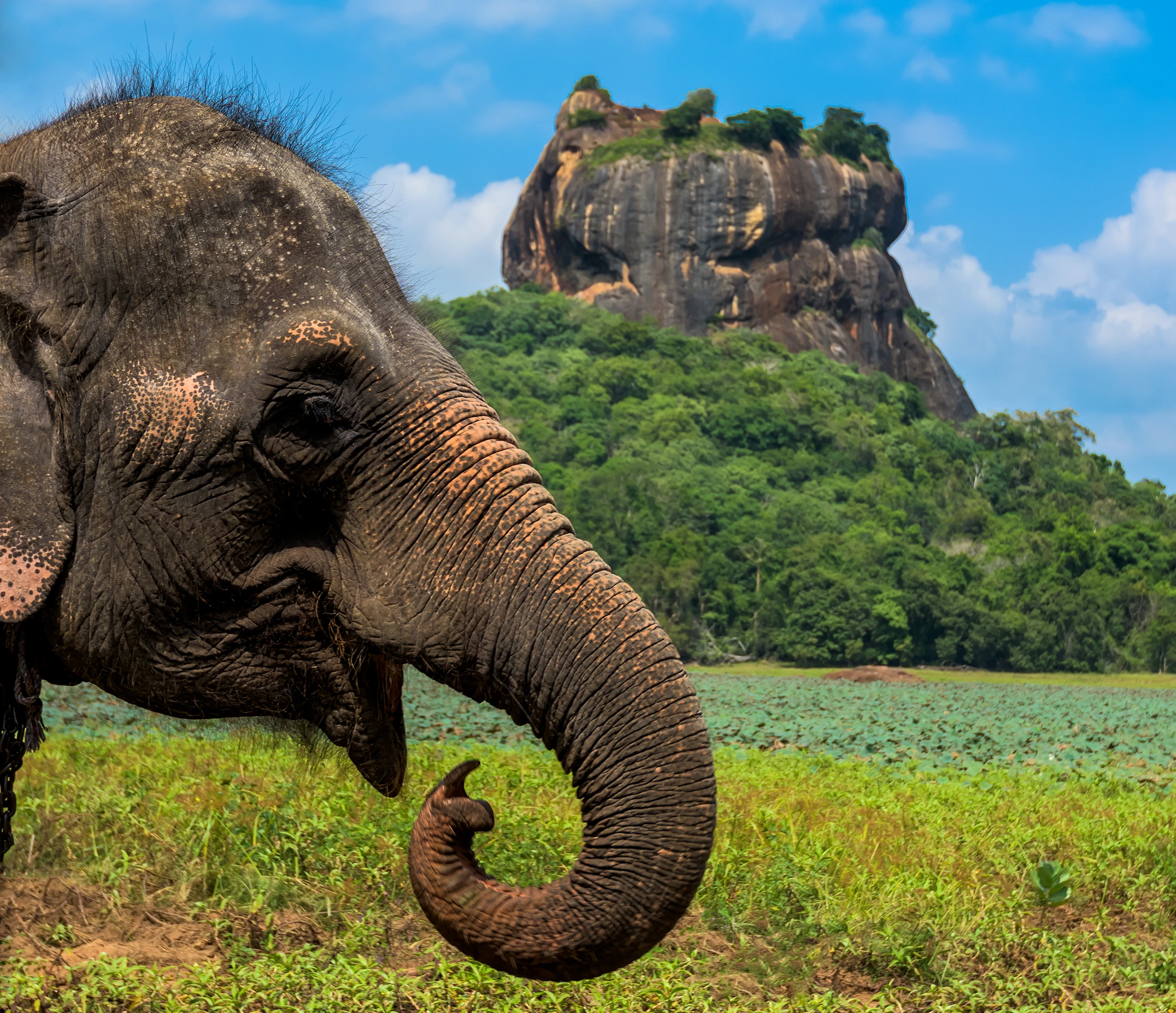 Tourism in Sri Lanka